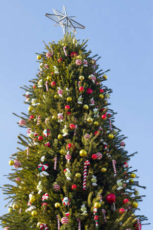 Christmas tree decorated with balls in Kyiv, Ukraineの写真素材