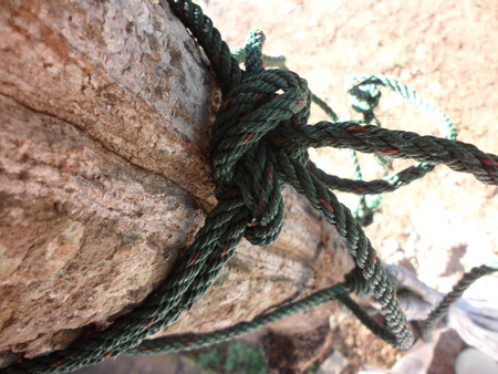 Rope tied greenの写真素材