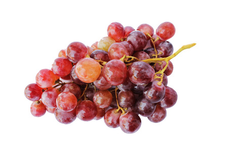 Grapesの写真素材