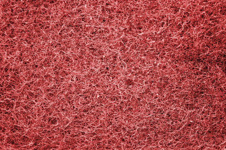 Red grassの写真素材