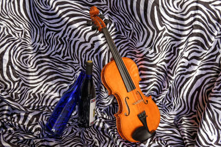The Violin Elishaの写真素材