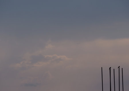Silhouette of a group of chimneys against the blue skyの写真素材