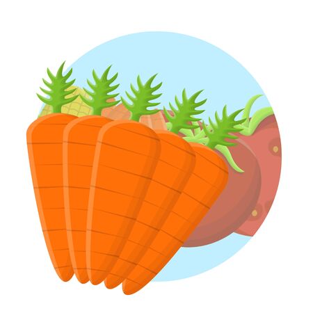 Carrot Fresh Vegetable Flat Iconのイラスト素材