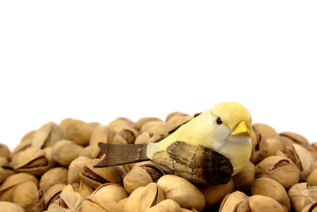 Pistachios and bird