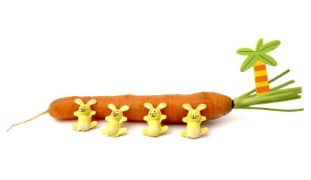 Carrots rabbitsの写真素材