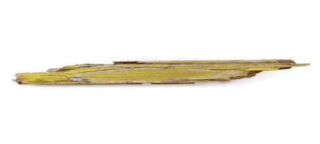 Worm eaten piece of wood yellow on a white backgroundの写真素材
