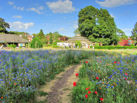 The Wildflower Garden, Preston Park, Brighton, East Sussex, England,UKの素材