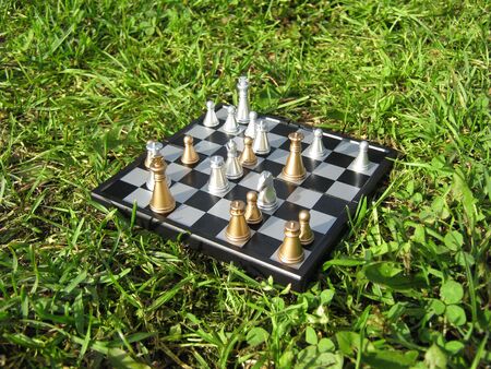 Chess on the grass.の写真素材