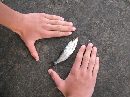 The caught fishの写真素材