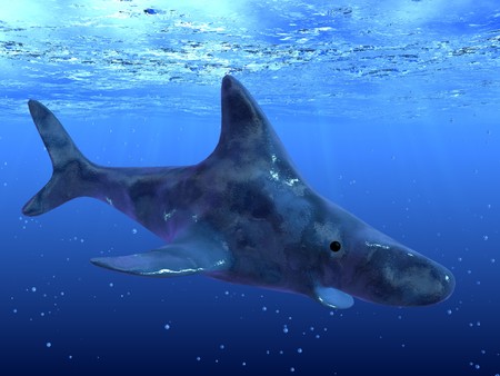 3d render of sharkの写真素材