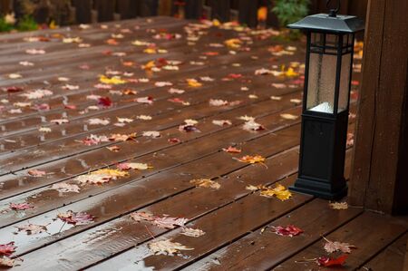 Wet Wooden Deck with Maple leavesの写真素材