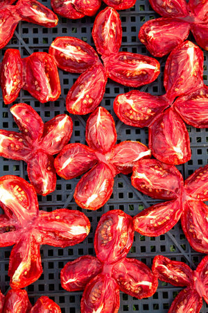 The process of drying tomatoes outdoors for seasoning, for cooking for cooking various dishesの写真素材