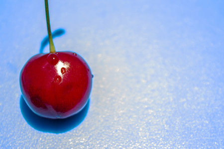 A cherry is sitting on a blue surface. The cherry is red and shinyの写真素材