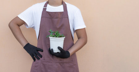 Florist holding indoor Kalanchoe plant in white pot on beige backgroundの写真素材