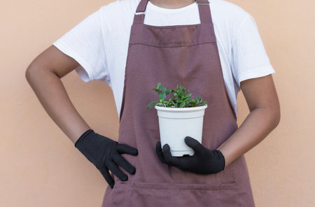 Florist holding indoor Kalanchoe plant in white pot on beige backgroundの写真素材