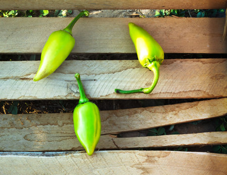 Bell peppers lying on boardsの写真素材
