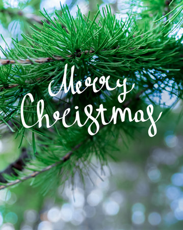 Handwritten Christmas greetings on a photo with space for text