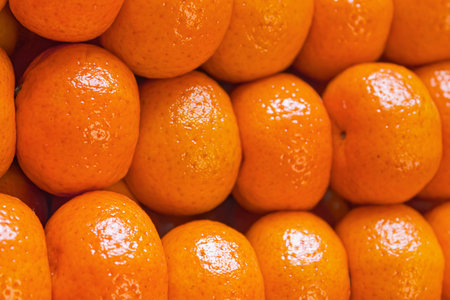 Fresh tangerines in boxes on the shelves of a grocery store