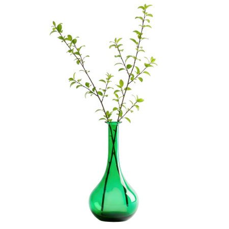 A striking emerald green glass vase gracefully holds delicate white blossoms and lush green stems. This piece adds a touch of natural elegance and sophisticated style to any interior space.の素材