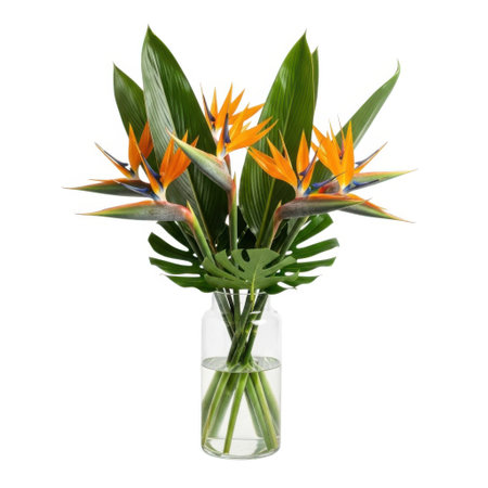 A lush arrangement showcasing the striking beauty of Bird of Paradise flowers and tropical foliage, presented elegantly in a simple glass vase for a touch of exotic charm.の素材