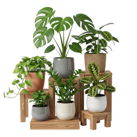 A curated collection of diverse houseplants, including a Monstera and Calathea, displayed in stylish pots on wooden plant stands, creating a vibrant indoor jungle.の素材