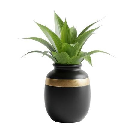 Showcasing a lush green succulent housed in an elegant matte black vase. The vase features a subtle yet striking gold band, adding a touch of sophistication to this decorative piece.の素材