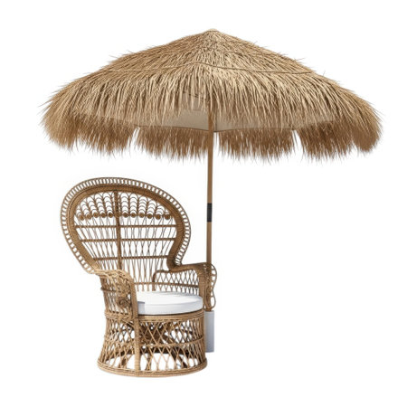 A charming rattan peacock chair with a plush cushion sits beneath a natural thatch umbrella, perfect for creating a cozy, exotic outdoor oasis.の素材