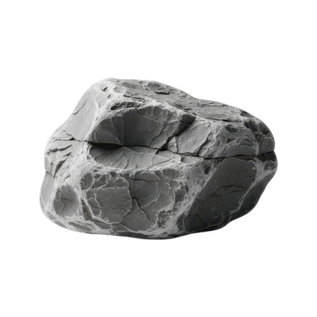 A detailed, high-resolution photograph of a single gray rock with visible texture and crevices. Perfect for use in educational materials, design projects, or nature-themed visuals.の素材