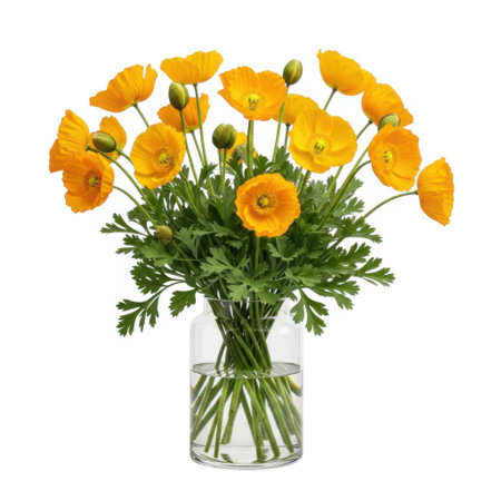 A beautiful bouquet of bright yellow poppies with lush green foliage sits in a clear glass vase. This arrangement brings a touch of sunshine and natural beauty indoors.の素材