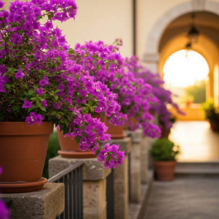 A stunning display of vivid purple bougainvillea flowers spills from terracotta pots onto a stone railing. The scene is set against a soft focus background of an arched entryway with warm light emanating from within.の素材