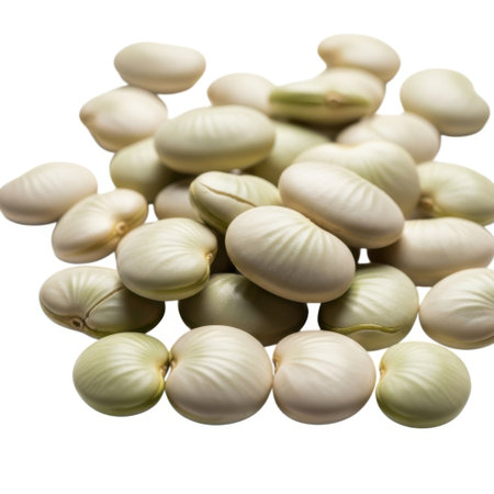 A close-up shot showcases a pile of plump, pale green lima beans isolated on a clean white background.の素材