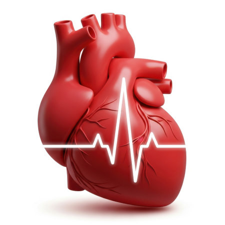 A detailed, vibrant red anatomical model of a human heart is presented, featuring a prominent white electrocardiogram waveform across its surface, isolated on a clean white background.の素材