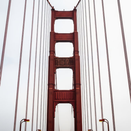 A close-up view of a portion of a famous red suspension bridge tower and its supporting cables, presented isolated on a white background.の素材