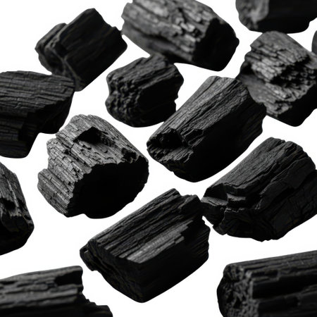 A collection of irregular shaped charcoal pieces are scattered across a clean white background.の素材