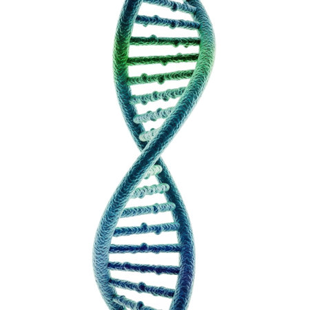 A detailed, colorful representation of a DNA double helix structure presented clearly on a clean white background.の素材