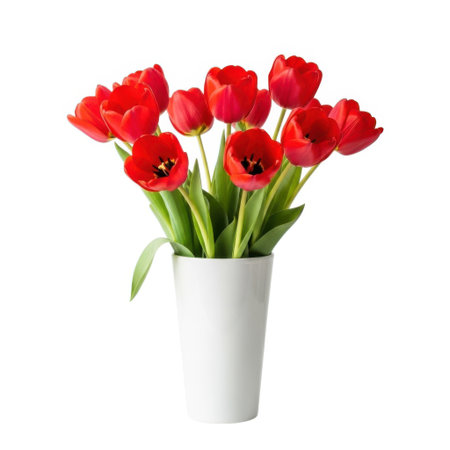 A stunning studio photograph captures a lively bouquet of bright red tulips elegantly arranged in a simple white vase, radiating the beauty of spring and natural freshness.の素材
