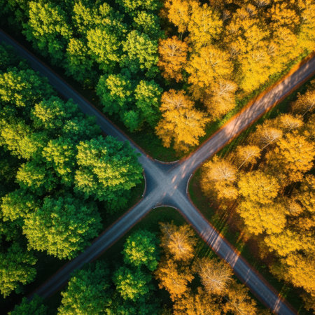 An overhead perspective showcases a crossroads within a forest, displaying a striking contrast between vibrant green foliage and warm autumnal hues.の素材