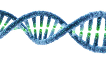 A detailed 3D rendering of a DNA double helix with blue and green strands, isolated on a white background.の素材