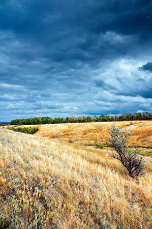 Silence and calmness before a powerful storm. A lonely treeの写真素材