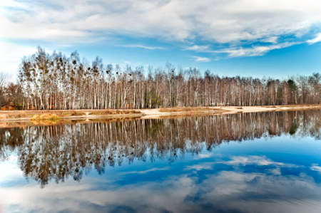 Row of birches near the lake are reflected in the water   の写真素材