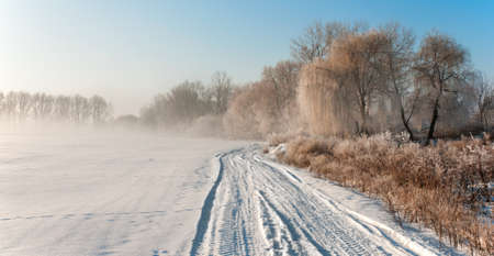 Landscape with fog and hoarfrost on treesの写真素材