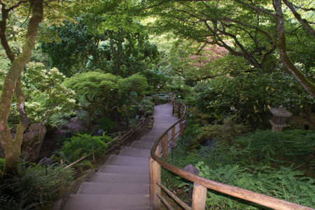 Mysterious staircaseの写真素材