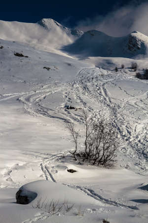 path in winterの写真素材