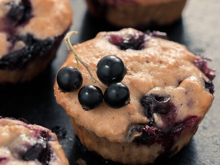 Muffins with black currant on dark background close up. Selective focusの写真素材