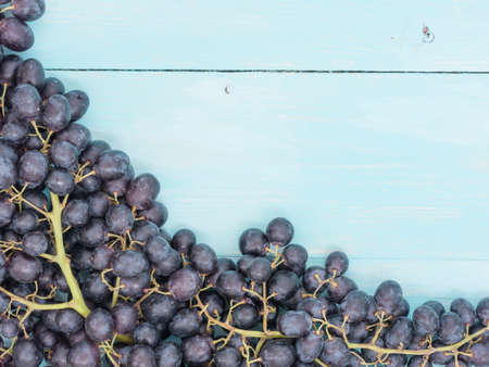 Purple grapes on soft blue wooden table with copyspace. Flat lay or top viewの写真素材