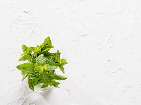 sheaf of fresh mint leaf on gray concrete background. Top view or flat lay. Copy spaceの写真素材