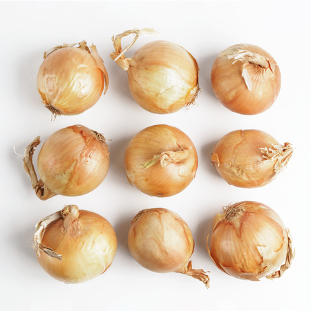 Onion seamless pattern isolated on whiteの写真素材