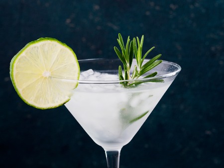 Glass of Martini coctail with fresh rosemary and lime on blue background.
