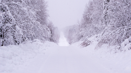 Winter road through the wild forest. Cloudy sky and trees in the snow. Copyspace for text.の写真素材