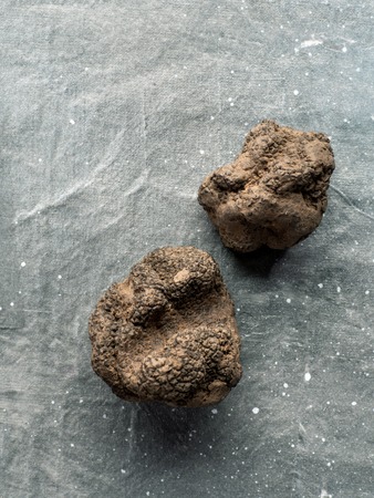Expensive rare black truffle mushroom on gray background. Vertical. Black truffles top view with...
